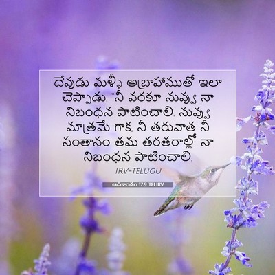 Picture 07 - ఆదికాండం 17:9 TELIRV - దేవుడు మళ్ళీ - Bible Verse Picture
