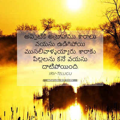 Picture 07 - ఆదికాండం 18:11 TELIRV - అప్పటికి - Bible Verse Picture