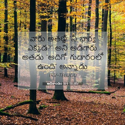 Picture 07 - ఆదికాండం 18:9 TELIRV - వారు అతణ్ణి “నీ - Bible Verse Picture