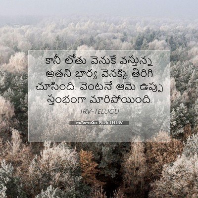 Picture 07 - ఆదికాండం 19:26 TELIRV - కానీ లోతు వెనుకే - Bible Verse Picture