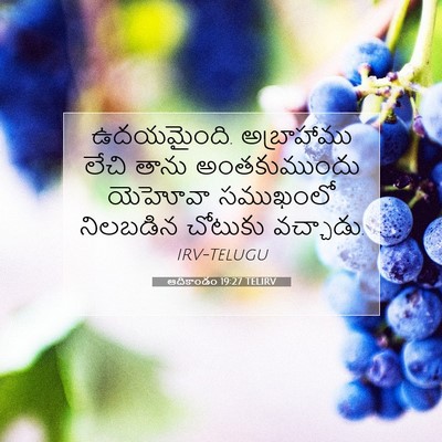 Picture 07 - ఆదికాండం 19:27 TELIRV - ఉదయమైంది. - Bible Verse Picture