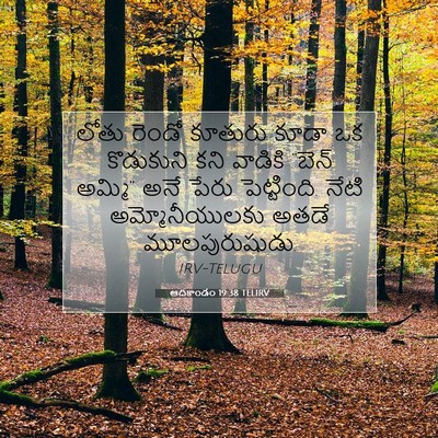 Picture 07 - ఆదికాండం 19:38 TELIRV - లోతు రెండో కూతురు - Bible Verse Picture