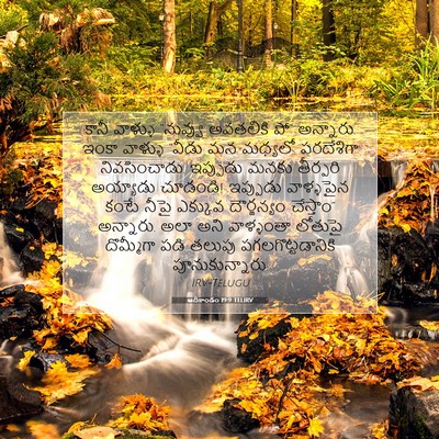 Picture 07 - ఆదికాండం 19:9 TELIRV - కానీ వాళ్ళు - Bible Verse Picture