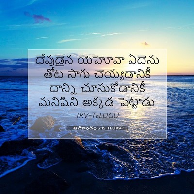 Picture 07 - ఆదికాండం 2:15 TELIRV - దేవుడైన యెహోవా - Bible Verse Picture