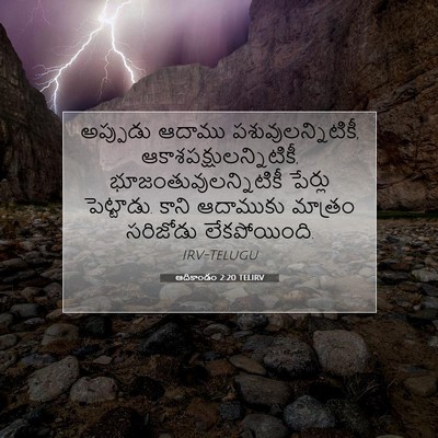 Picture 07 - ఆదికాండం 2:20 TELIRV - అప్పుడు ఆదాము - Bible Verse Picture