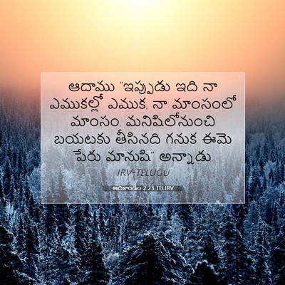 Picture 07 - ఆదికాండం 2:23 TELIRV - ఆదాము “ఇప్పుడు - Bible Verse Picture