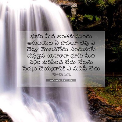 Picture 07 - ఆదికాండం 2:5 TELIRV - భూమి మీద - Bible Verse Picture