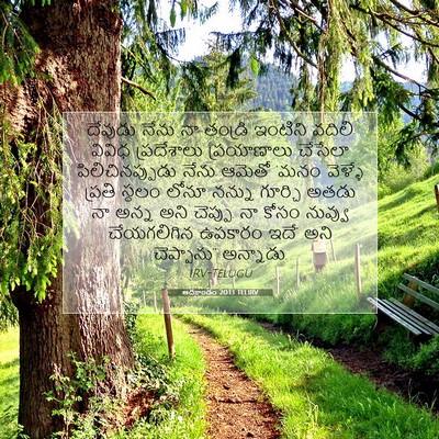 Picture 07 - ఆదికాండం 20:13 TELIRV - దేవుడు నేను నా - Bible Verse Picture