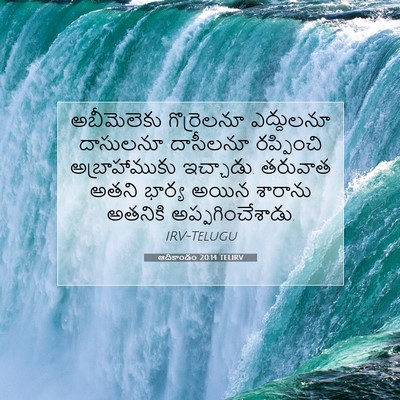 Picture 07 - ఆదికాండం 20:14 TELIRV - అబీమెలెకు - Bible Verse Picture