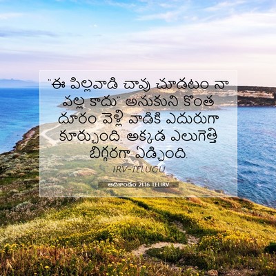 Picture 07 - ఆదికాండం 21:16 TELIRV - “ఈ పిల్లవాడి చావు - Bible Verse Picture