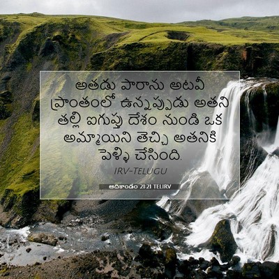 Picture 07 - ఆదికాండం 21:21 TELIRV - అతడు పారాను అటవీ - Bible Verse Picture
