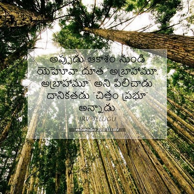 Picture 07 - ఆదికాండం 22:11 TELIRV - అప్పుడు ఆకాశం - Bible Verse Picture
