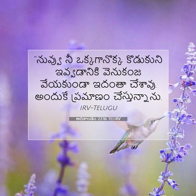 Picture 07 - ఆదికాండం 22:16 TELIRV - “నువ్వు నీ - Bible Verse Picture