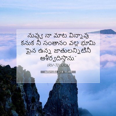 Picture 07 - ఆదికాండం 22:18 TELIRV - నువ్వు నా మాట - Bible Verse Picture