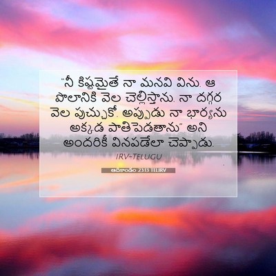 Picture 07 - ఆదికాండం 23:13 TELIRV - “నీ కిష్టమైతే నా - Bible Verse Picture