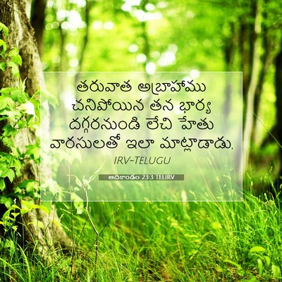 Picture 07 - ఆదికాండం 23:3 TELIRV - తరువాత అబ్రాహాము - Bible Verse Picture