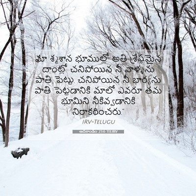 Picture 07 - ఆదికాండం 23:6 TELIRV - మా శ్మశాన - Bible Verse Picture