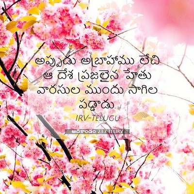 Picture 07 - ఆదికాండం 23:7 TELIRV - అప్పుడు అబ్రాహాము - Bible Verse Picture