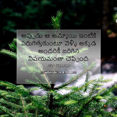 Picture 07 - ఆదికాండం 24:28 TELIRV - అప్పుడు ఆ అమ్మాయి - Bible Verse Picture