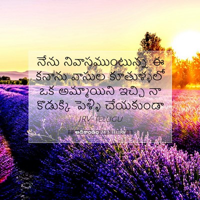 Picture 07 - ఆదికాండం 24:3 TELIRV - నేను - Bible Verse Picture