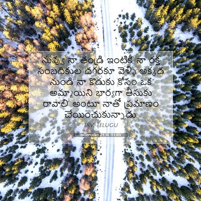 Picture 07 - ఆదికాండం 24:38 TELIRV - నువ్వు నా తండ్రి - Bible Verse Picture
