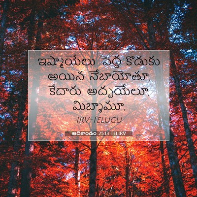 Picture 07 - ఆదికాండం 25:13 TELIRV - ఇష్మాయేలు పెద్ద - Bible Verse Picture