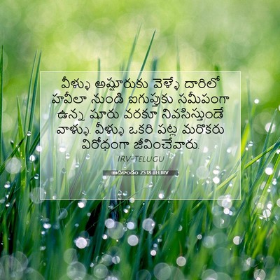 Picture 07 - ఆదికాండం 25:18 TELIRV - వీళ్ళు అష్షూరుకు - Bible Verse Picture