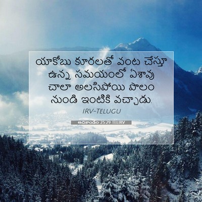 Picture 07 - ఆదికాండం 25:29 TELIRV - యాకోబు కూరలతో వంట - Bible Verse Picture