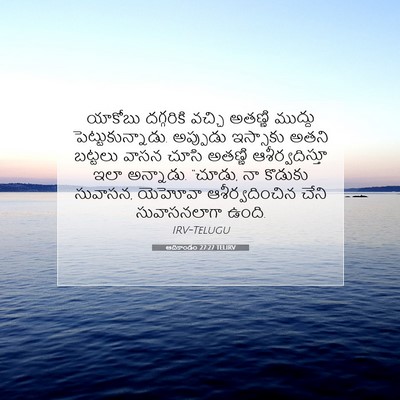 Picture 07 - ఆదికాండం 27:27 TELIRV - యాకోబు దగ్గరికి - Bible Verse Picture