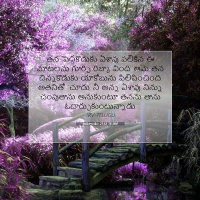 Picture 07 - ఆదికాండం 27:42 TELIRV - తన పెద్దకొడుకు - Bible Verse Picture