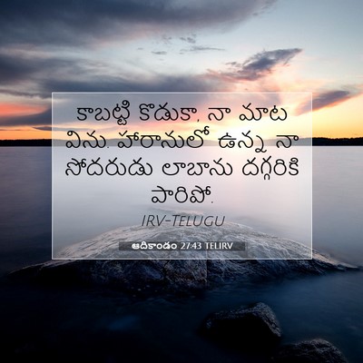 Picture 07 - ఆదికాండం 27:43 TELIRV - కాబట్టి కొడుకా, నా - Bible Verse Picture