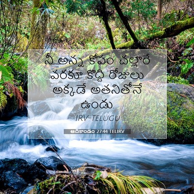 Picture 07 - ఆదికాండం 27:44 TELIRV - నీ అన్న కోపం - Bible Verse Picture