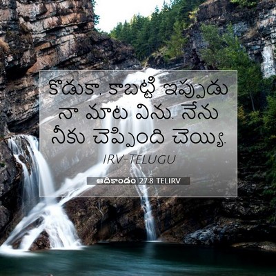 Picture 07 - ఆదికాండం 27:8 TELIRV - కొడుకా, కాబట్టి - Bible Verse Picture
