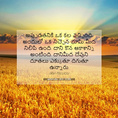 Picture 07 - ఆదికాండం 28:12 TELIRV - అప్పుడతనికి ఒక కల - Bible Verse Picture