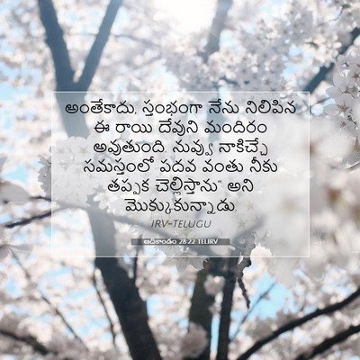Picture 07 - ఆదికాండం 28:22 TELIRV - అంతేకాదు, - Bible Verse Picture