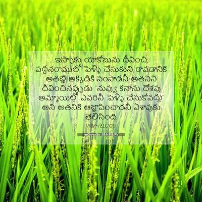 Picture 07 - ఆదికాండం 28:6 TELIRV - ఇస్సాకు యాకోబును - Bible Verse Picture