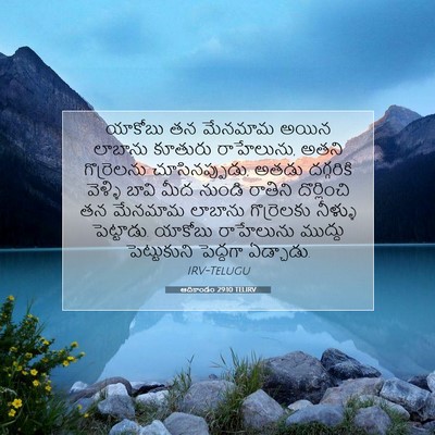 Picture 07 - ఆదికాండం 29:10 TELIRV - యాకోబు తన మేనమామ - Bible Verse Picture