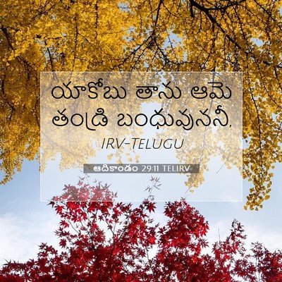 Picture 07 - ఆదికాండం 29:11 TELIRV - యాకోబు తాను ఆమె - Bible Verse Picture