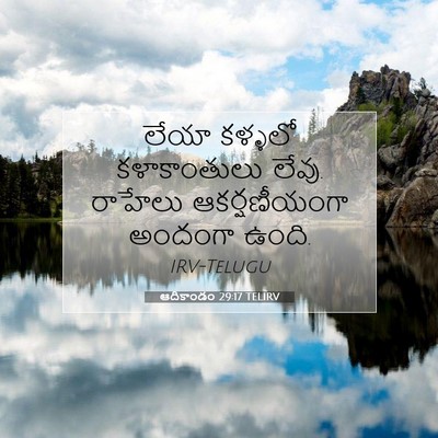 Picture 07 - ఆదికాండం 29:17 TELIRV - లేయా కళ్ళలో - Bible Verse Picture