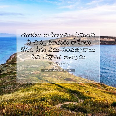 Picture 07 - ఆదికాండం 29:18 TELIRV - యాకోబు రాహేలును - Bible Verse Picture