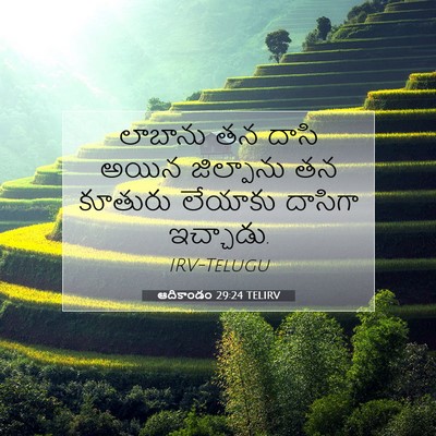Picture 07 - ఆదికాండం 29:24 TELIRV - లాబాను తన దాసి - Bible Verse Picture