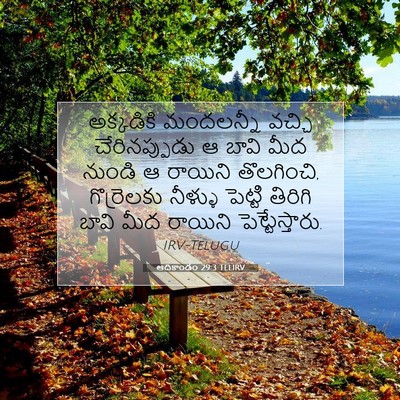 Picture 07 - ఆదికాండం 29:3 TELIRV - అక్కడికి మందలన్నీ - Bible Verse Picture