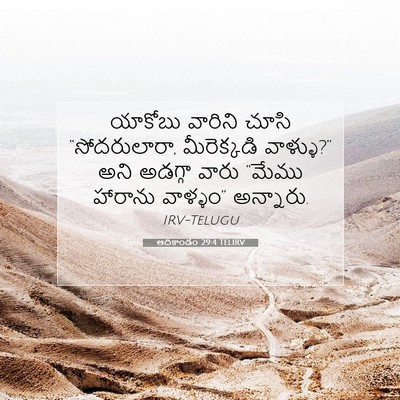 Picture 07 - ఆదికాండం 29:4 TELIRV - యాకోబు వారిని - Bible Verse Picture