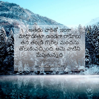 Picture 07 - ఆదికాండం 29:9 TELIRV - అతడు వారితో ఇంకా - Bible Verse Picture