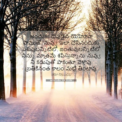 Picture 07 - ఆదికాండం 3:14 TELIRV - అందుకు దేవుడైన - Bible Verse Picture