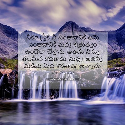 Picture 07 - ఆదికాండం 3:15 TELIRV - నీకూ స్త్రీకీ నీ - Bible Verse Picture