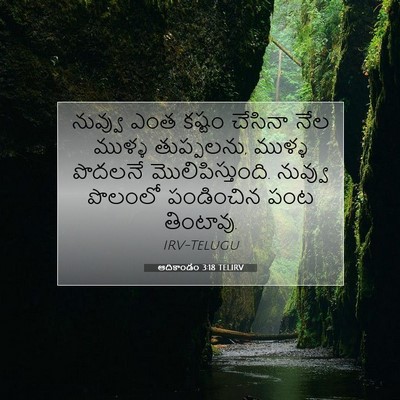 Picture 07 - ఆదికాండం 3:18 TELIRV - నువ్వు ఎంత కష్టం - Bible Verse Picture