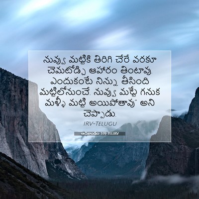 Picture 07 - ఆదికాండం 3:19 TELIRV - నువ్వు మట్టికి - Bible Verse Picture