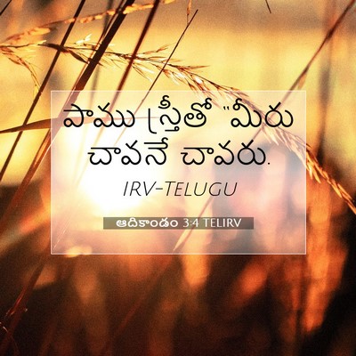 Picture 07 - ఆదికాండం 3:4 TELIRV - పాము స్త్రీతో - Bible Verse Picture