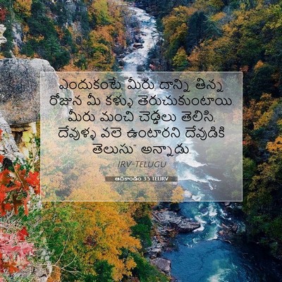 Picture 07 - ఆదికాండం 3:5 TELIRV - ఎందుకంటే, మీరు - Bible Verse Picture
